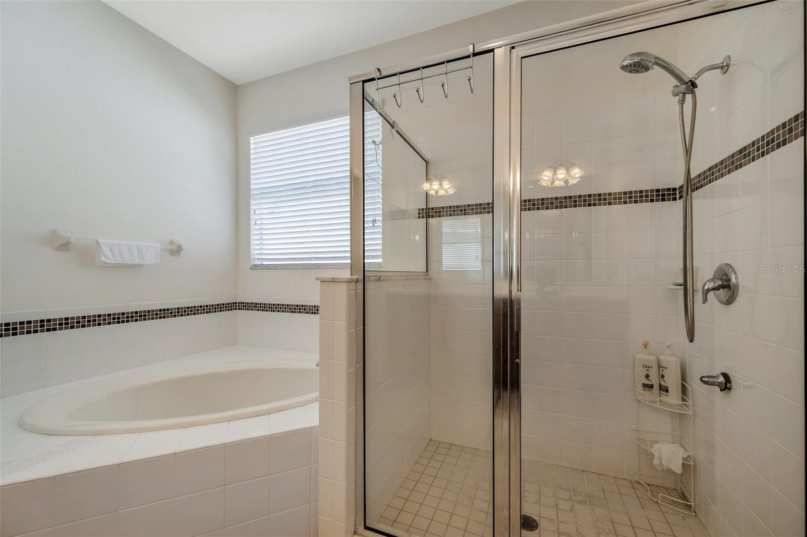 2218 VALTERRA VISTA WAY, VALRICO, FL, 33594