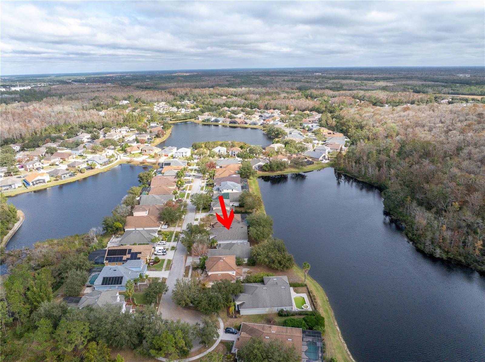10506 SKY FLOWER CT, LAND O LAKES, FL, 34638