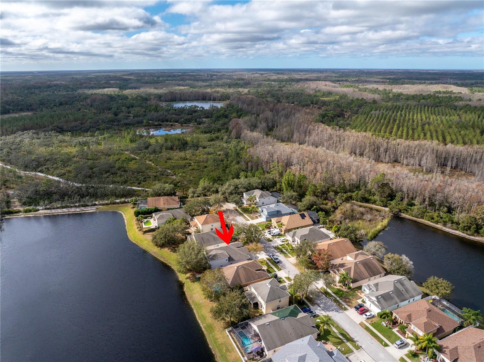 10506 SKY FLOWER CT, LAND O LAKES, FL, 34638