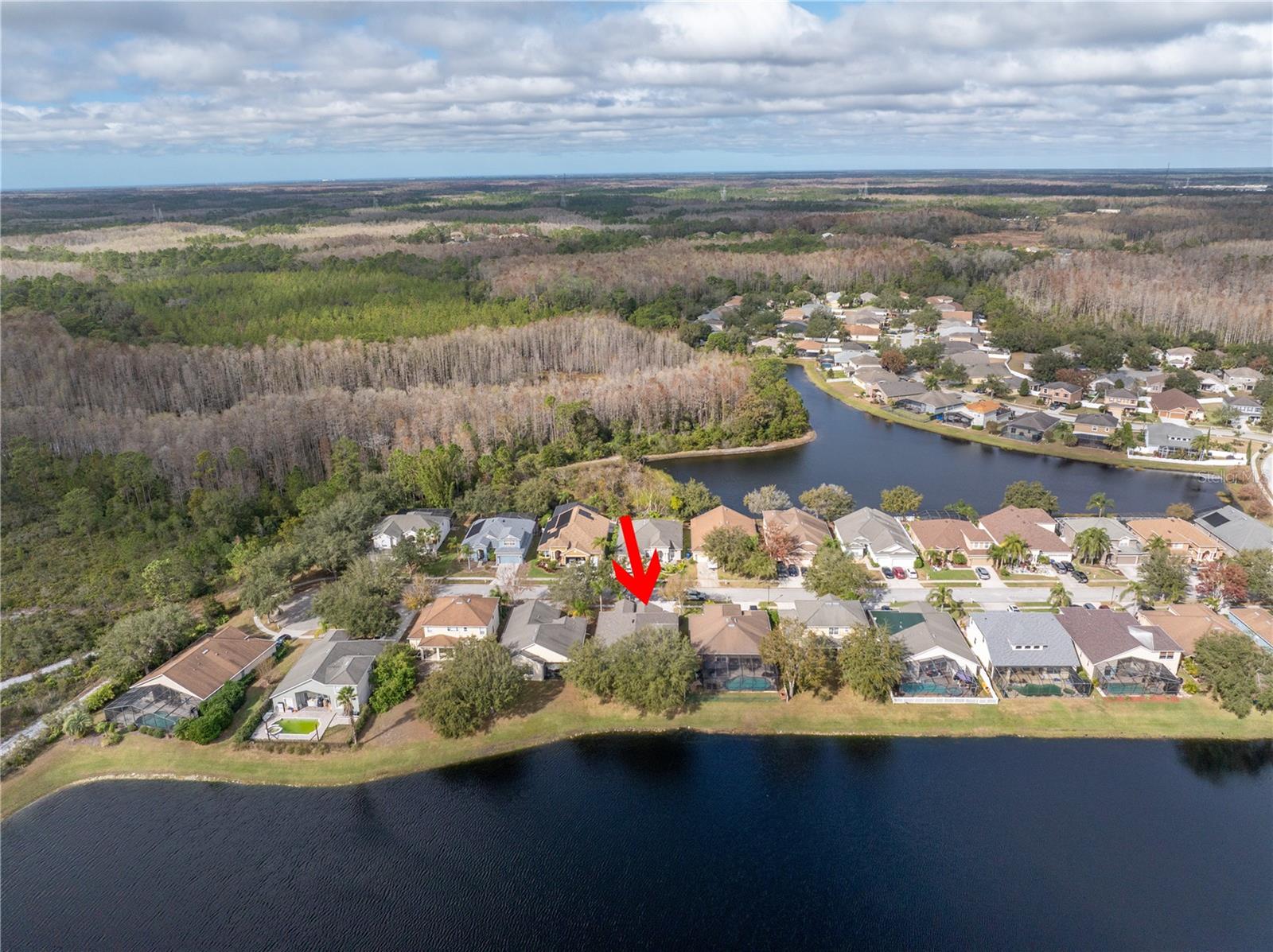 10506 SKY FLOWER CT, LAND O LAKES, FL, 34638