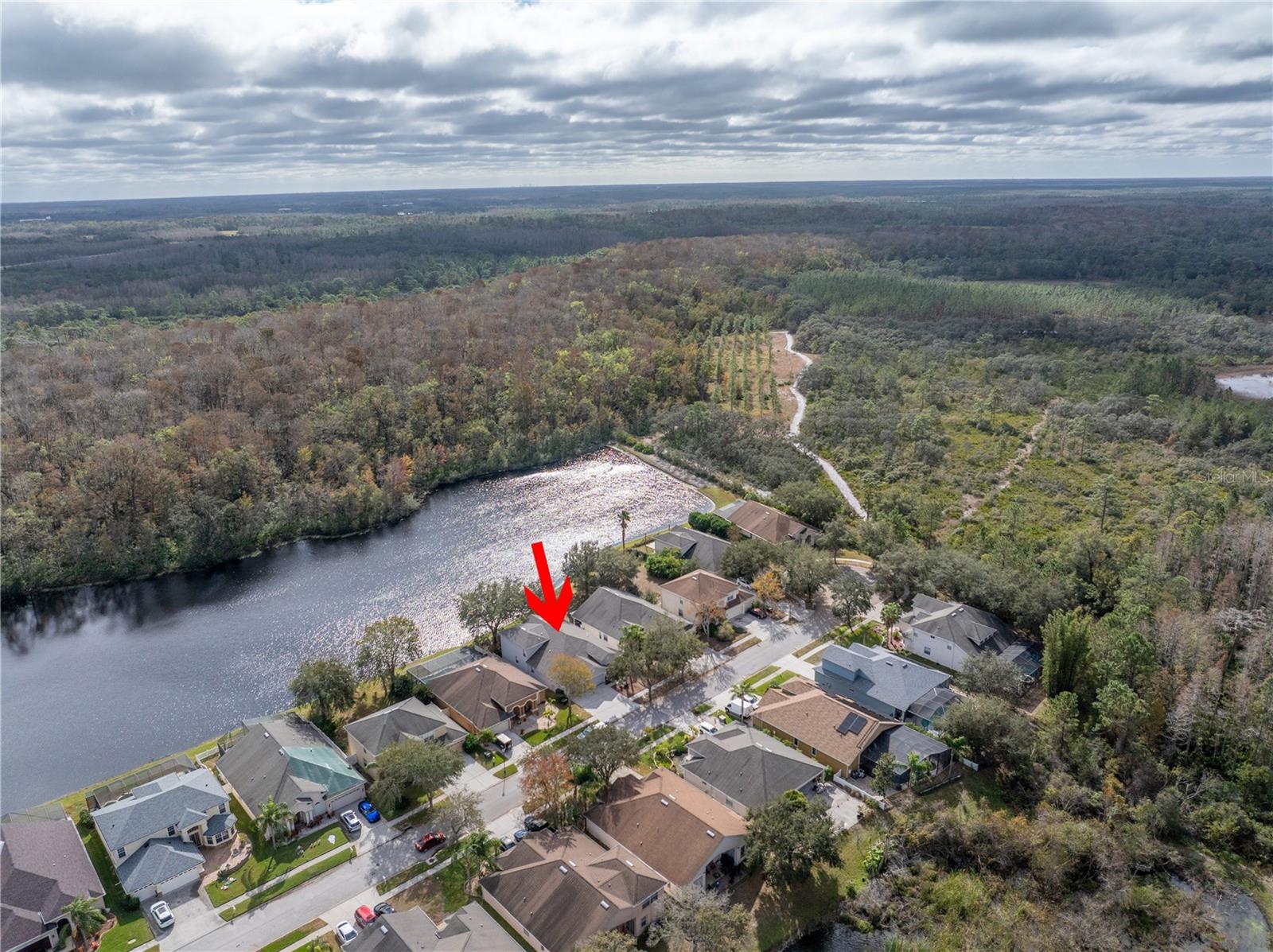 10506 SKY FLOWER CT, LAND O LAKES, FL, 34638