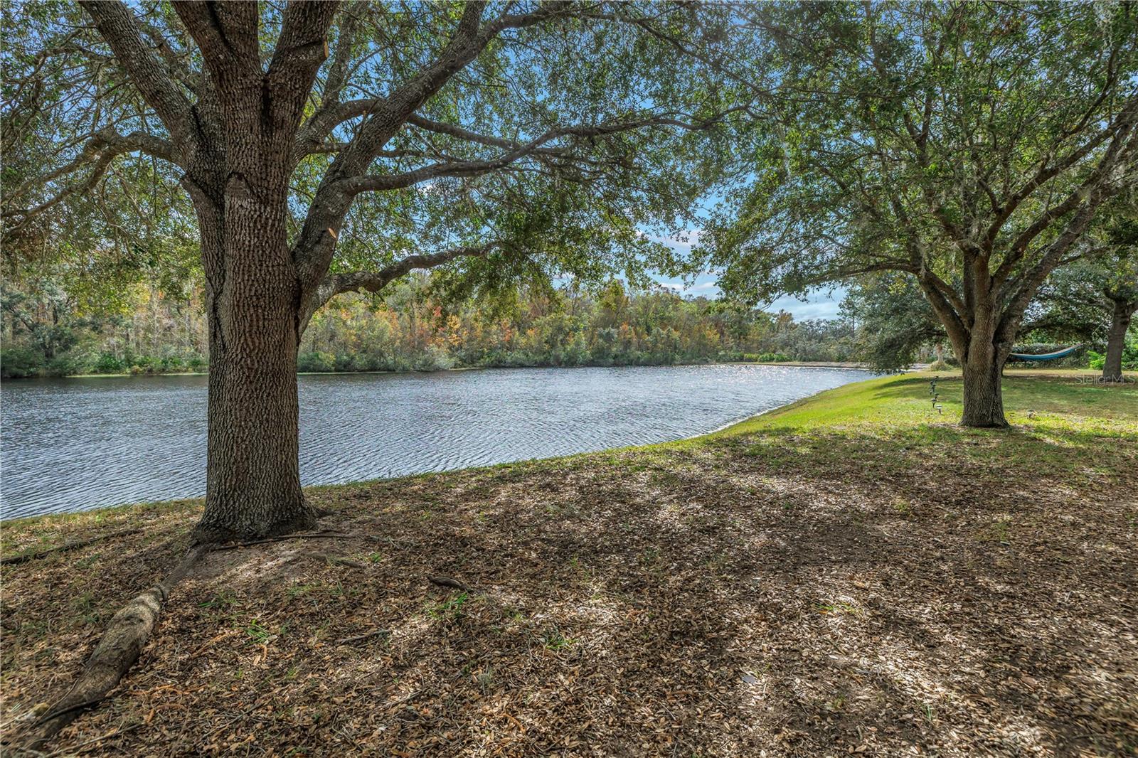 10506 SKY FLOWER CT, LAND O LAKES, FL, 34638