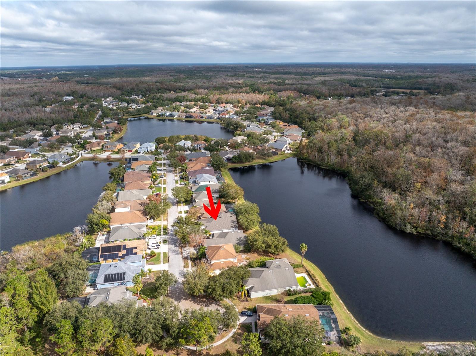 10506 SKY FLOWER CT, LAND O LAKES, FL, 34638