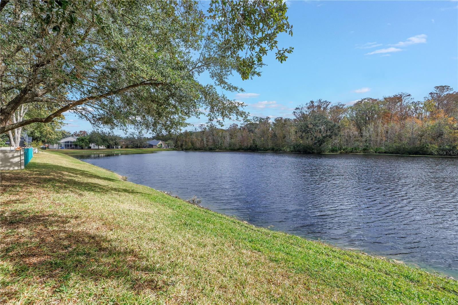 10506 SKY FLOWER CT, LAND O LAKES, FL, 34638