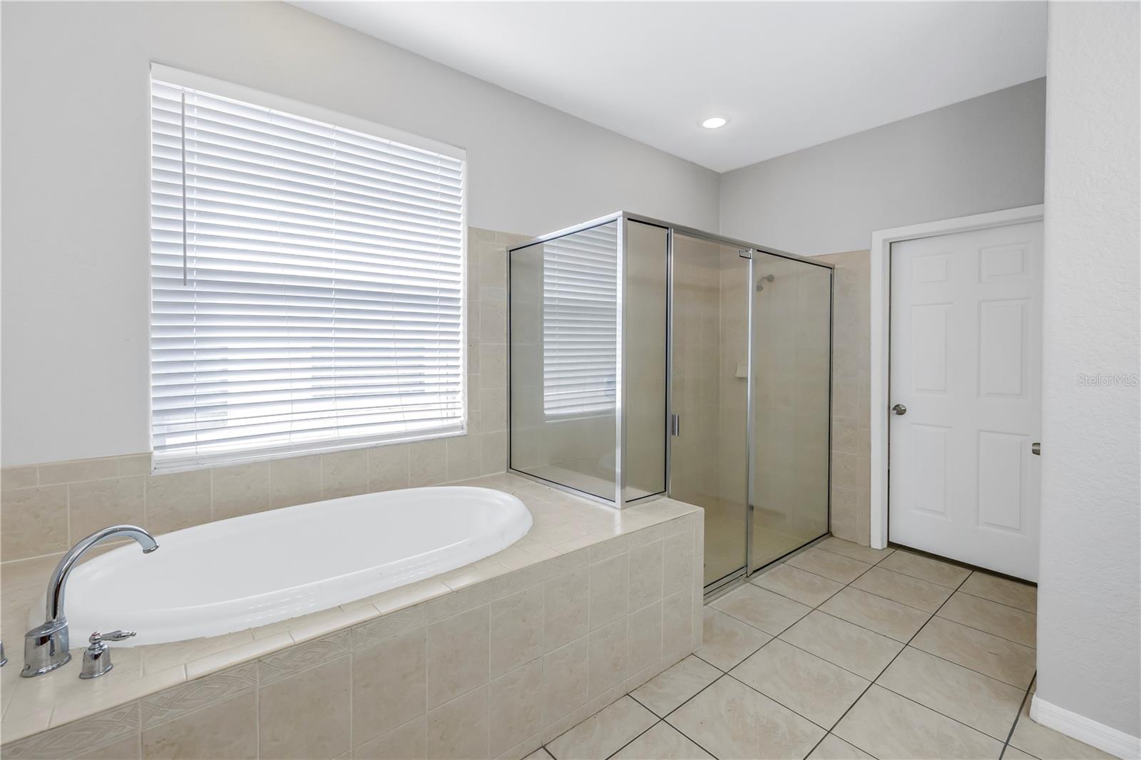 10506 SKY FLOWER CT, LAND O LAKES, FL, 34638