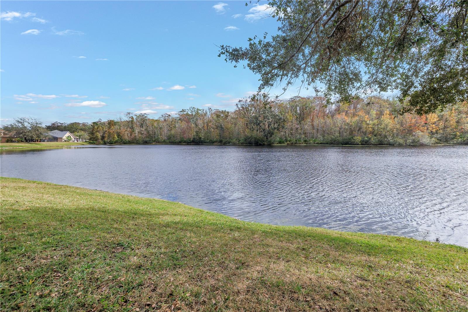 10506 SKY FLOWER CT, LAND O LAKES, FL, 34638