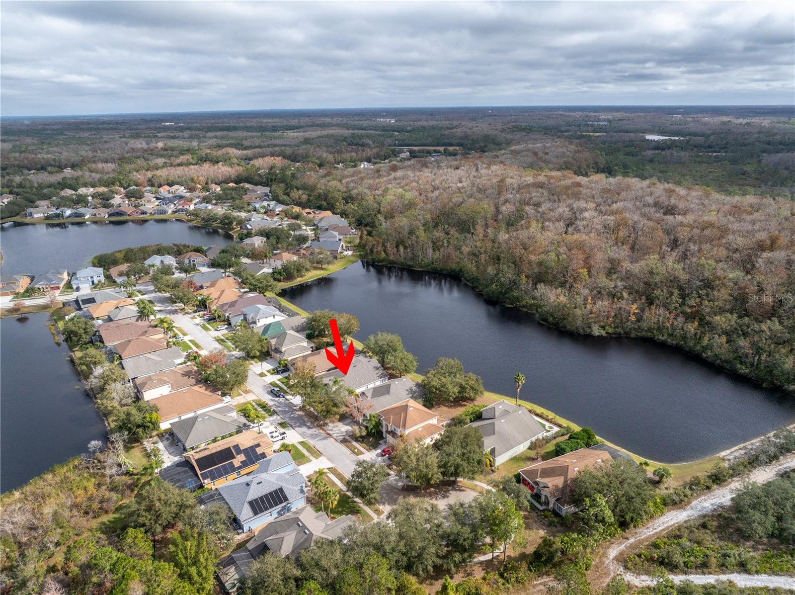 10506 SKY FLOWER CT, LAND O LAKES, FL, 34638