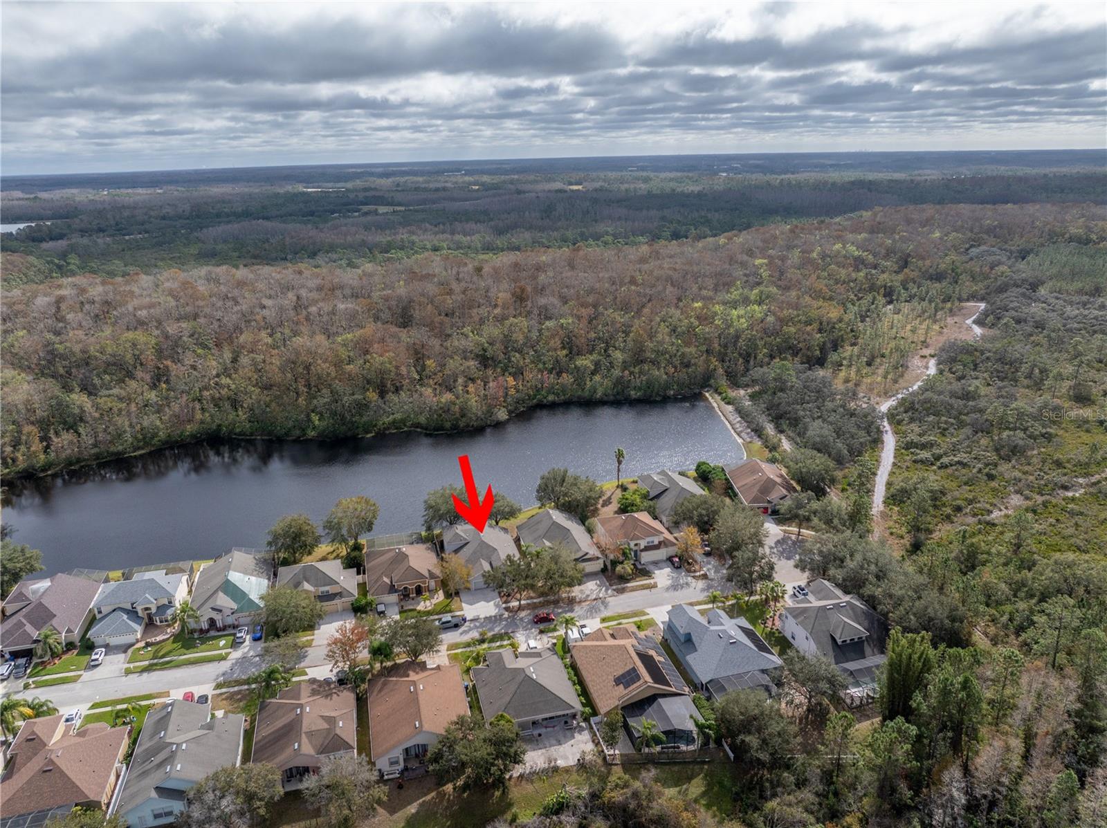 10506 SKY FLOWER CT, LAND O LAKES, FL, 34638