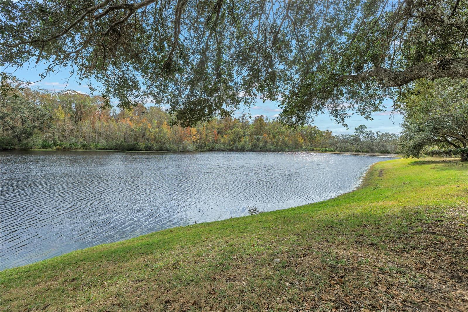 10506 SKY FLOWER CT, LAND O LAKES, FL, 34638