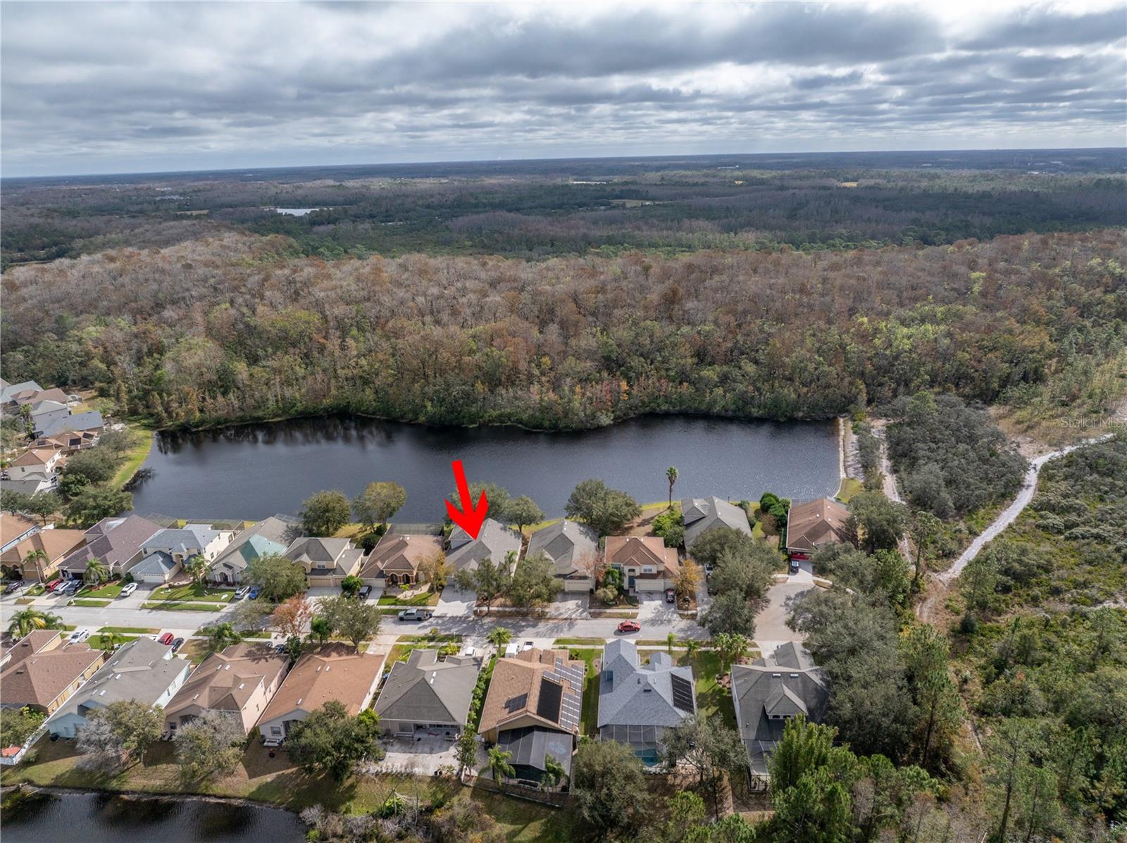 10506 SKY FLOWER CT, LAND O LAKES, FL, 34638