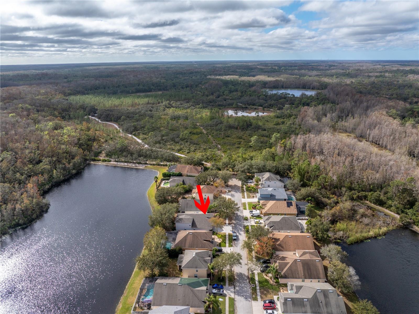 10506 SKY FLOWER CT, LAND O LAKES, FL, 34638