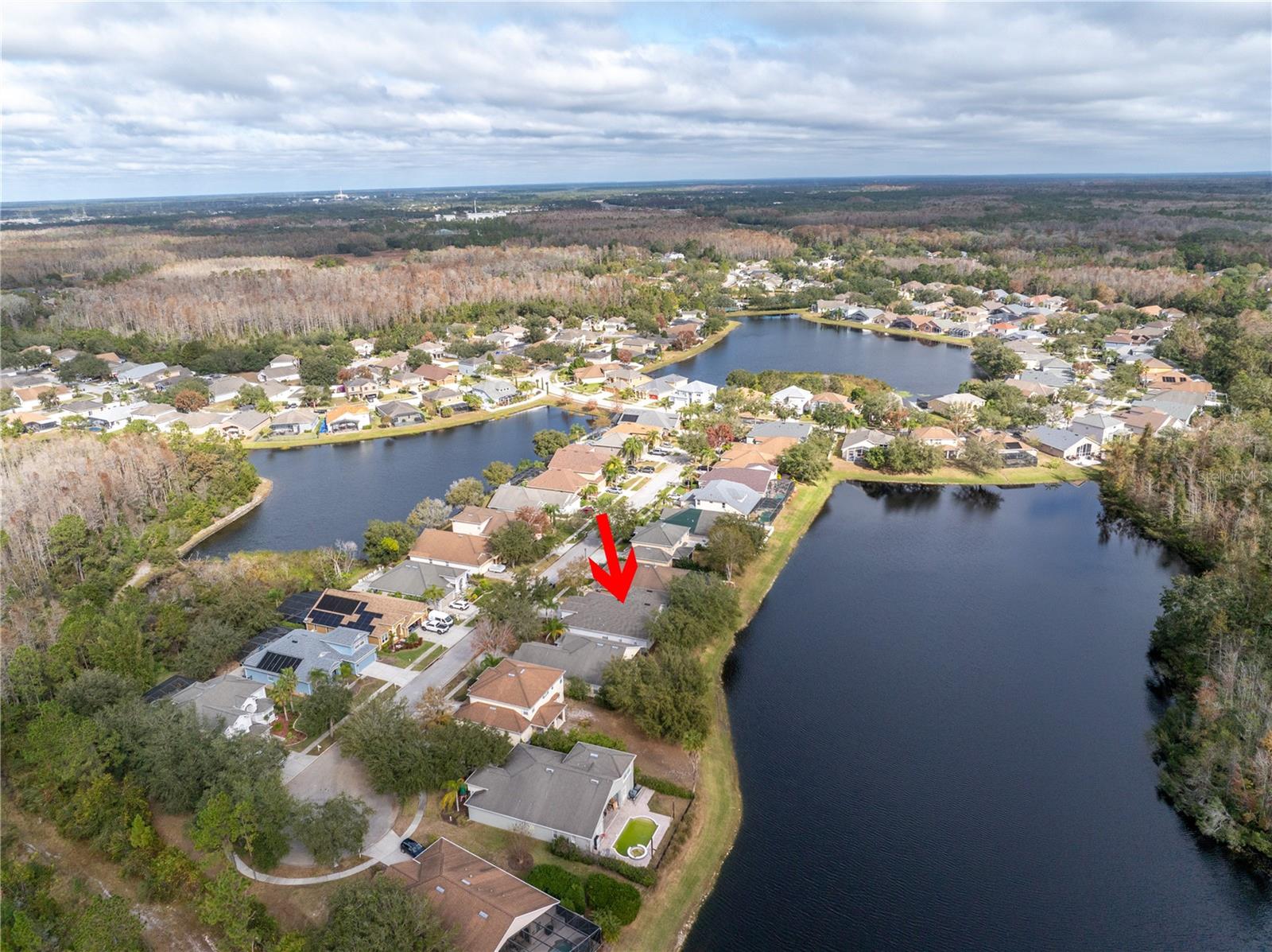 10506 SKY FLOWER CT, LAND O LAKES, FL, 34638