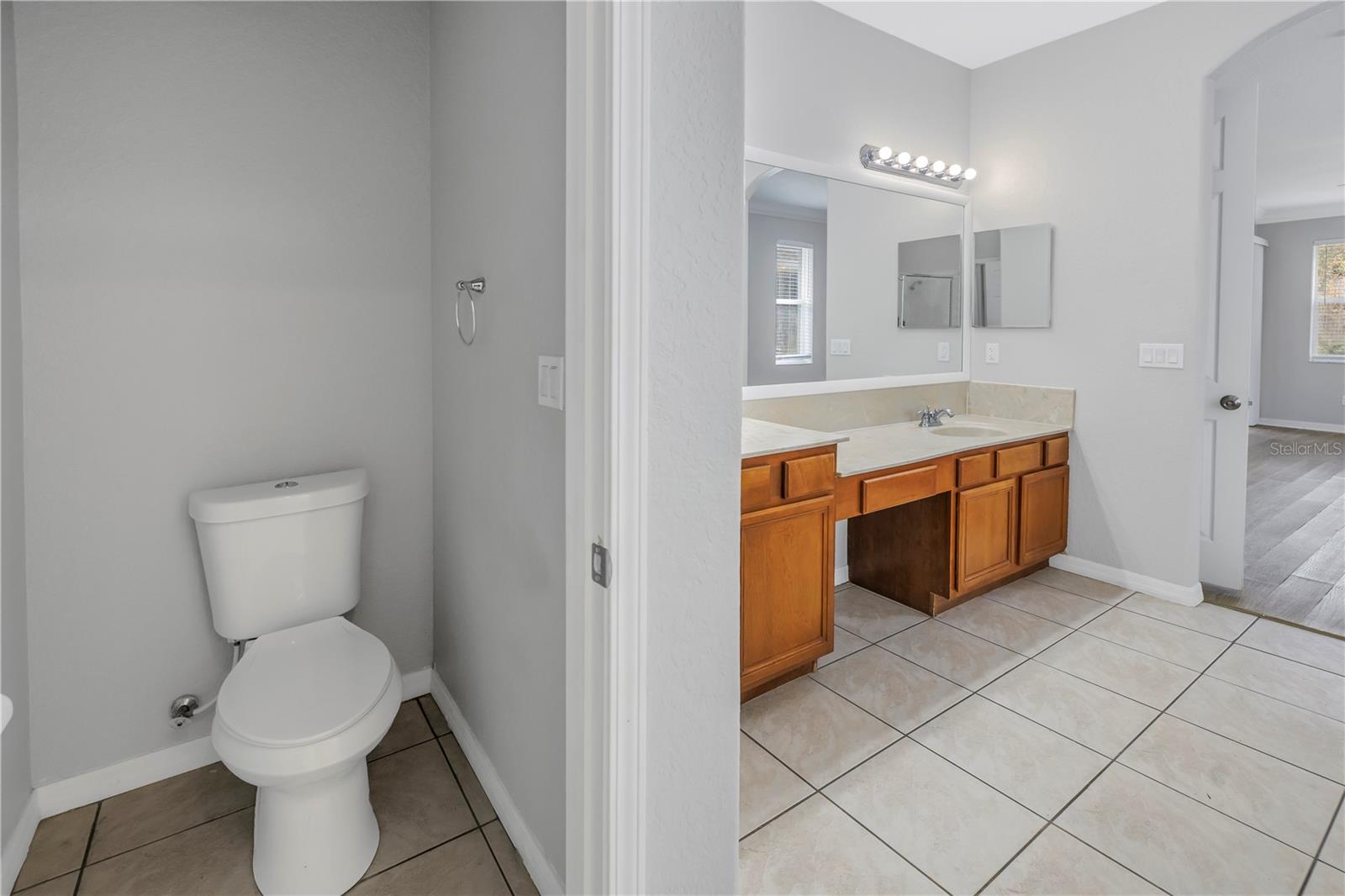 10506 SKY FLOWER CT, LAND O LAKES, FL, 34638