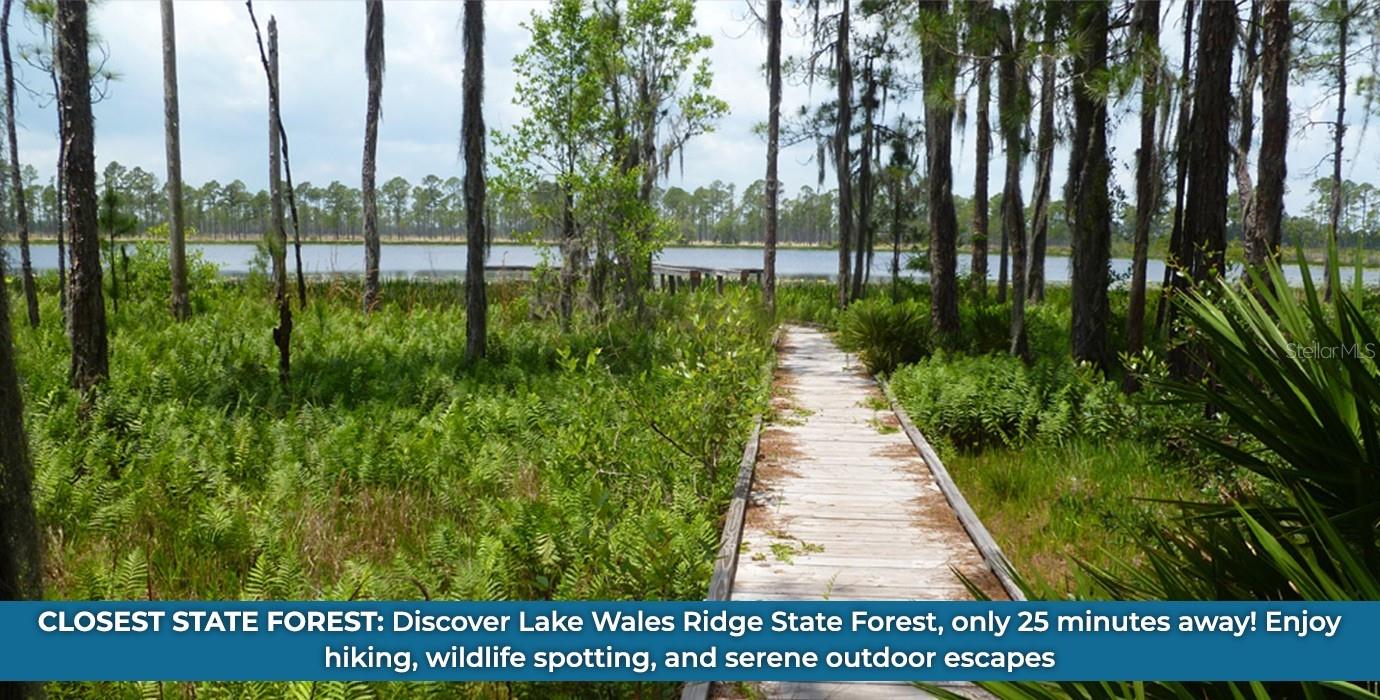 WHITE CLAY PIT RD, HAINES CITY, FL, 33844