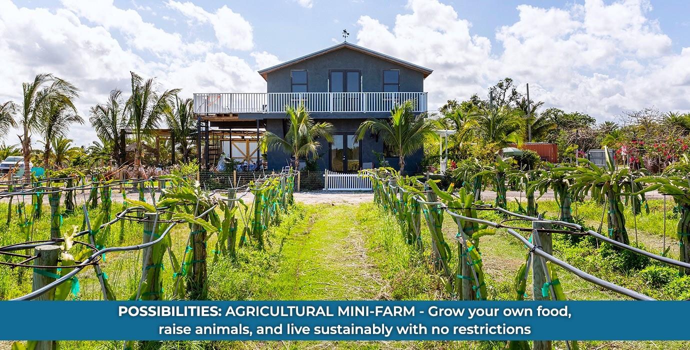 WHITE CLAY PIT RD, HAINES CITY, FL, 33844