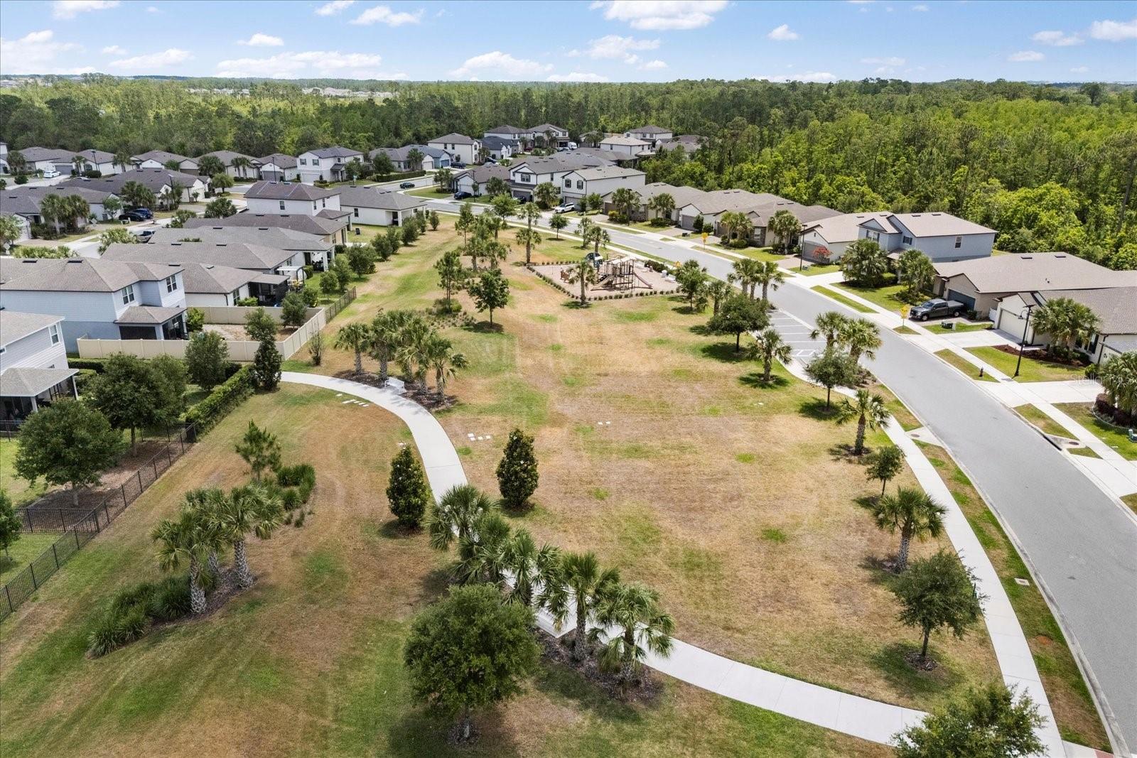 17500 BUTTERFLY PEA CT, CLERMONT, FL, 34714