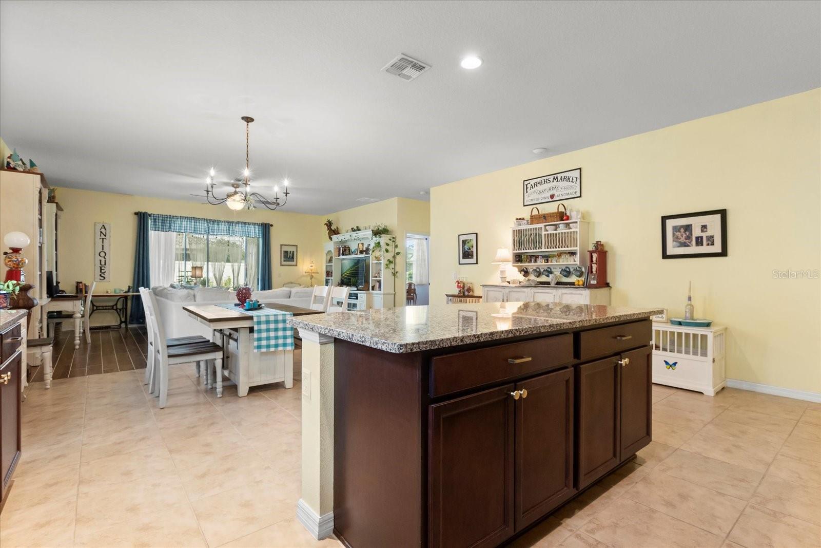 17500 BUTTERFLY PEA CT, CLERMONT, FL, 34714