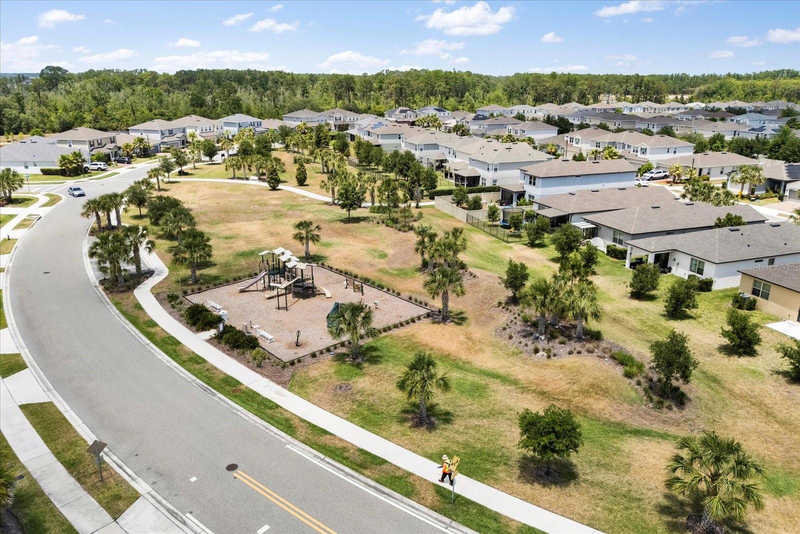 17500 BUTTERFLY PEA CT, CLERMONT, FL, 34714