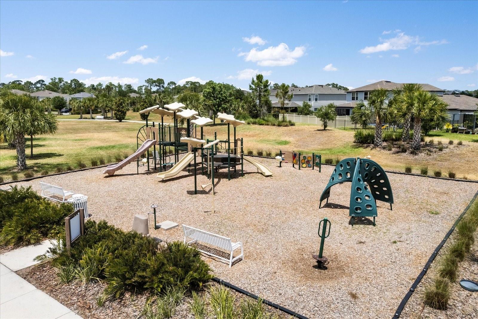 17500 BUTTERFLY PEA CT, CLERMONT, FL, 34714