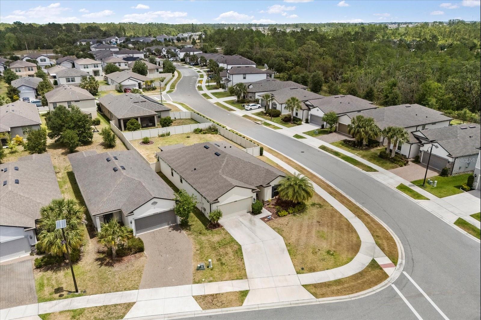 17500 BUTTERFLY PEA CT, CLERMONT, FL, 34714