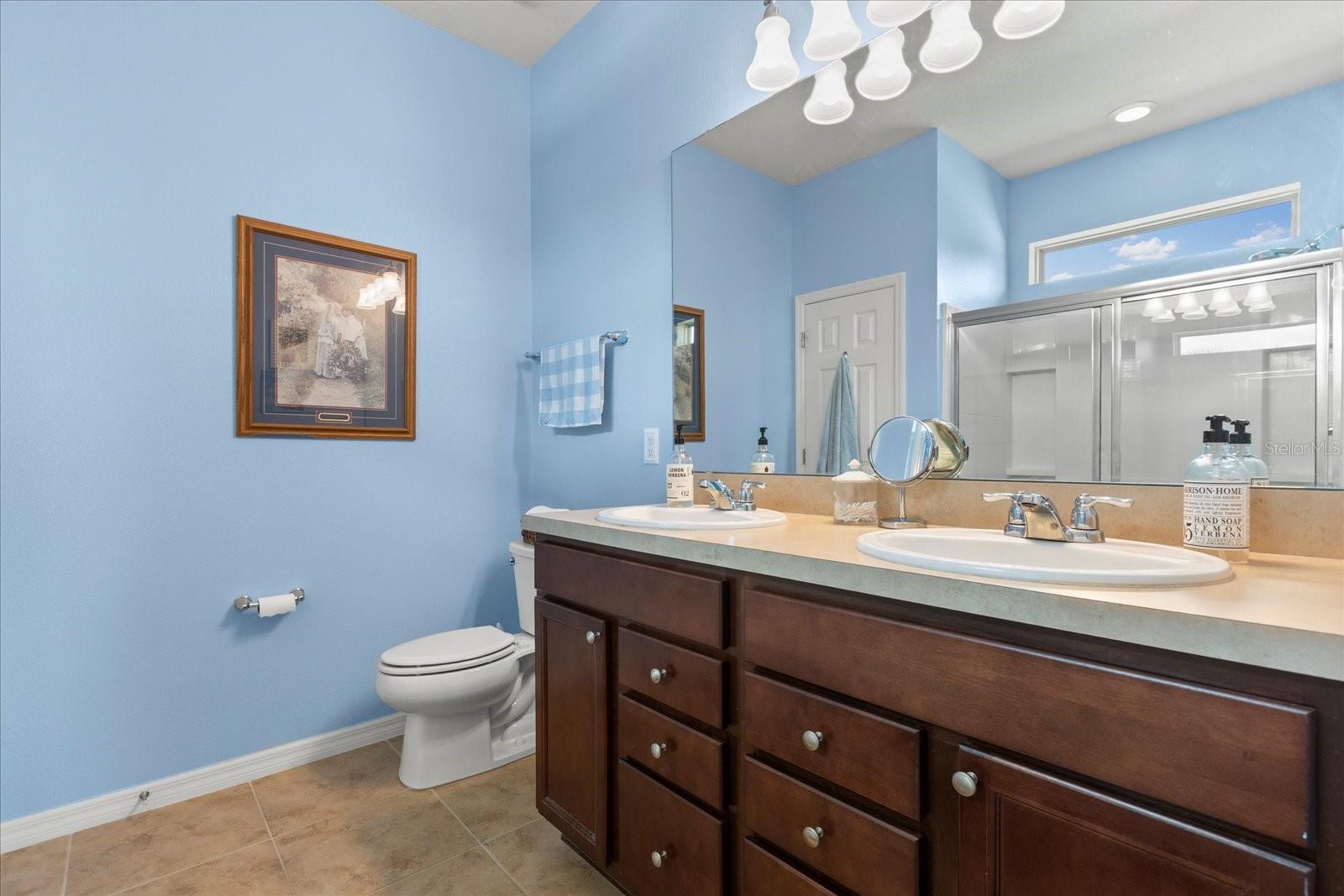 17500 BUTTERFLY PEA CT, CLERMONT, FL, 34714