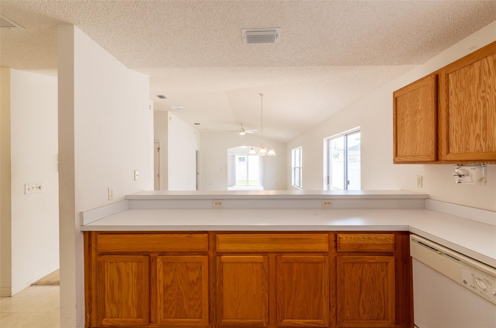 17174 SE 76TH CALEDONIA TER, THE VILLAGES, FL, 32162