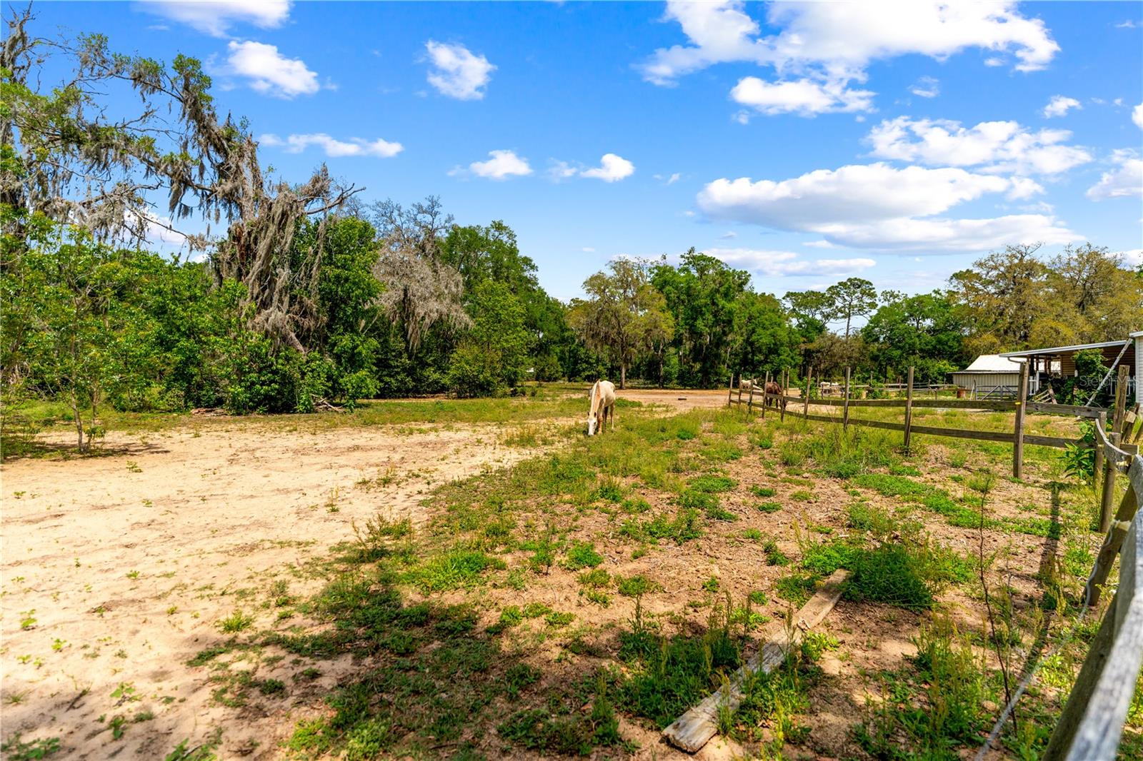 29193 OLD TRILBY RD, BROOKSVILLE, FL, 34602