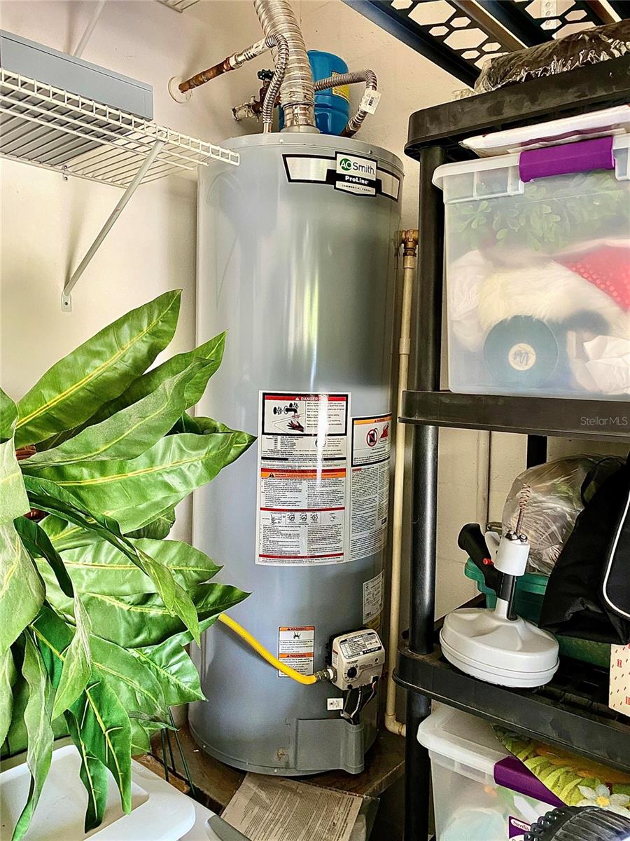 30442 LETTINGWELL CIR, WESLEY CHAPEL, FL, 33543