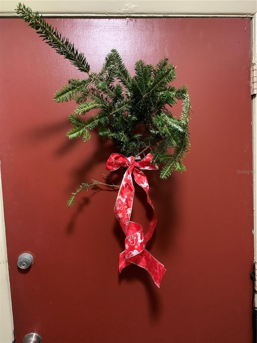 Holiday Season front door decor