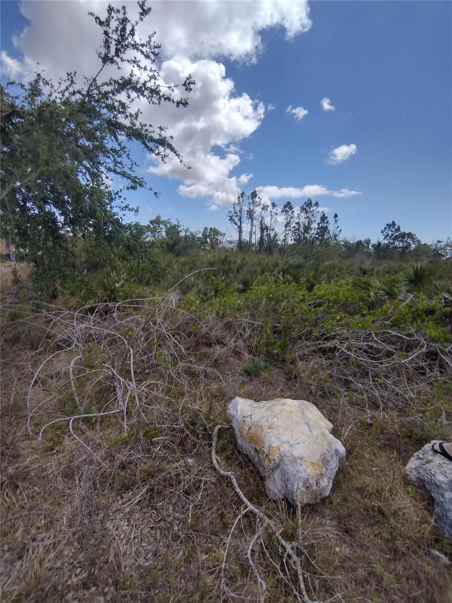 9176 CASEY ST, PORT CHARLOTTE, FL, 33981