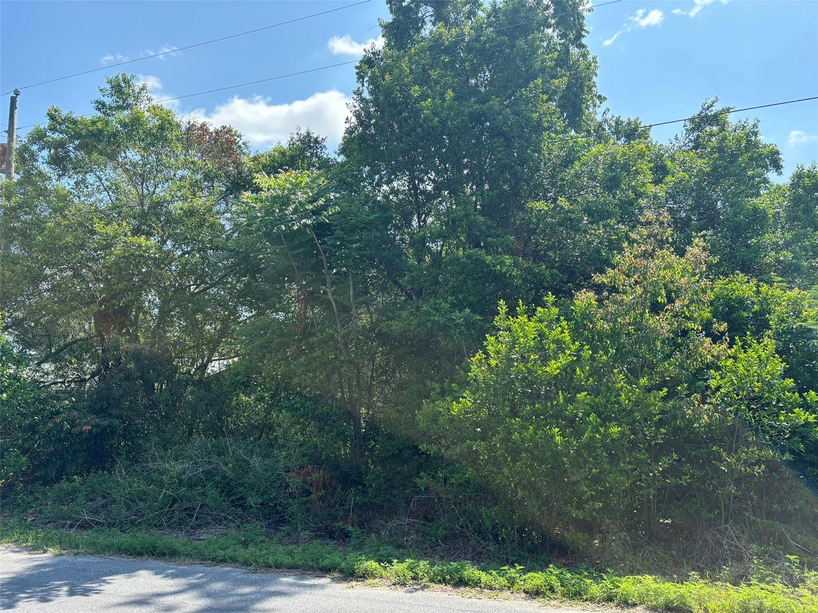 11229 GIFFORD DR, SPRING HILL, FL, 34608
