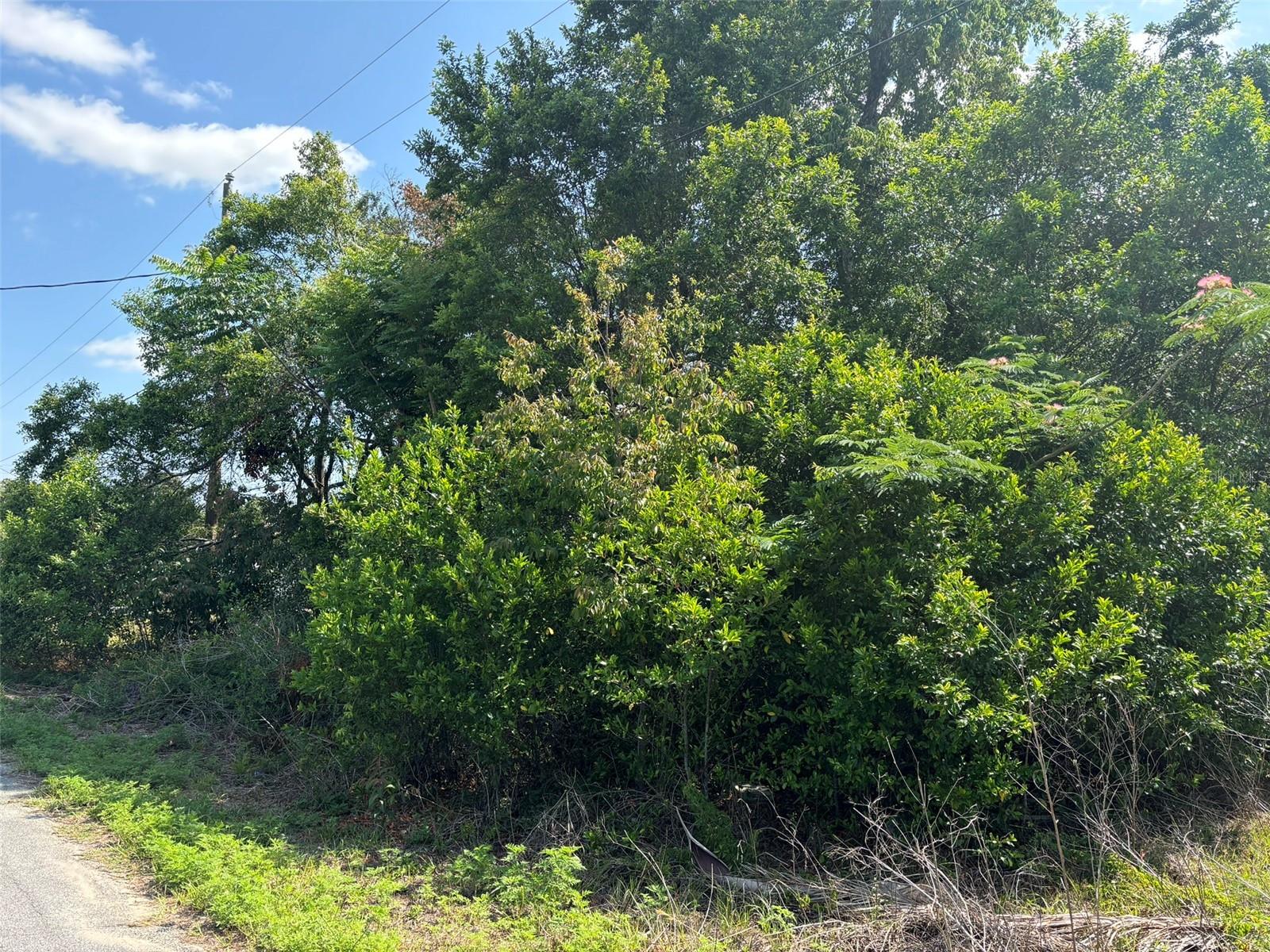 11229 GIFFORD DR, SPRING HILL, FL, 34608