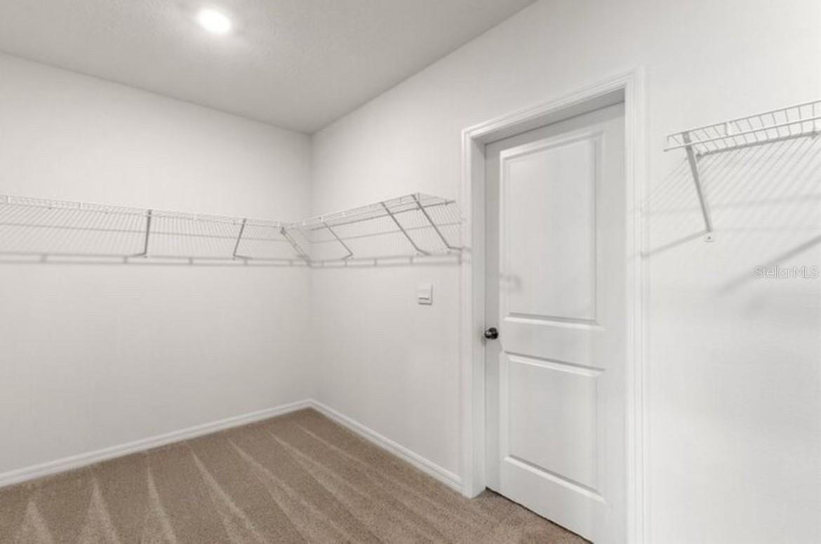 16734 GLACIER BAY LOOP, WIMAUMA, FL, 33598