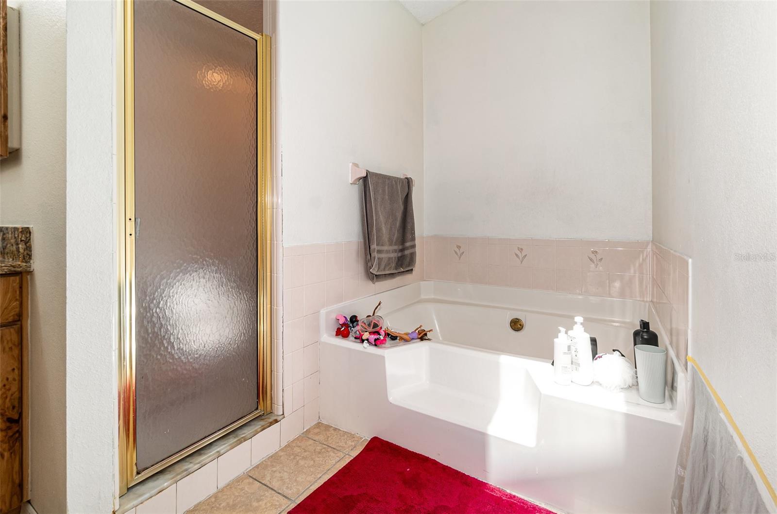 1100 ANNE ELISA CIR, ST CLOUD, FL, 34772