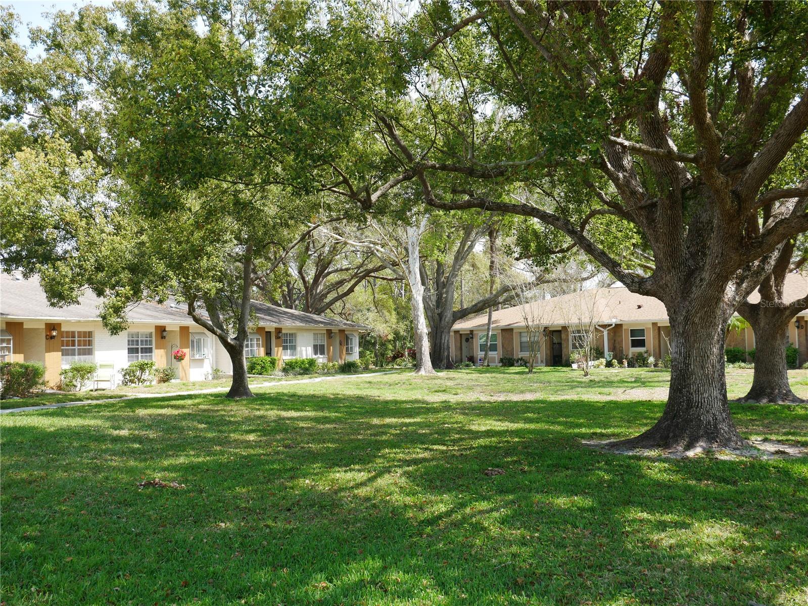 2297 LARK CIR E #E, PALM HARBOR, FL, 34684