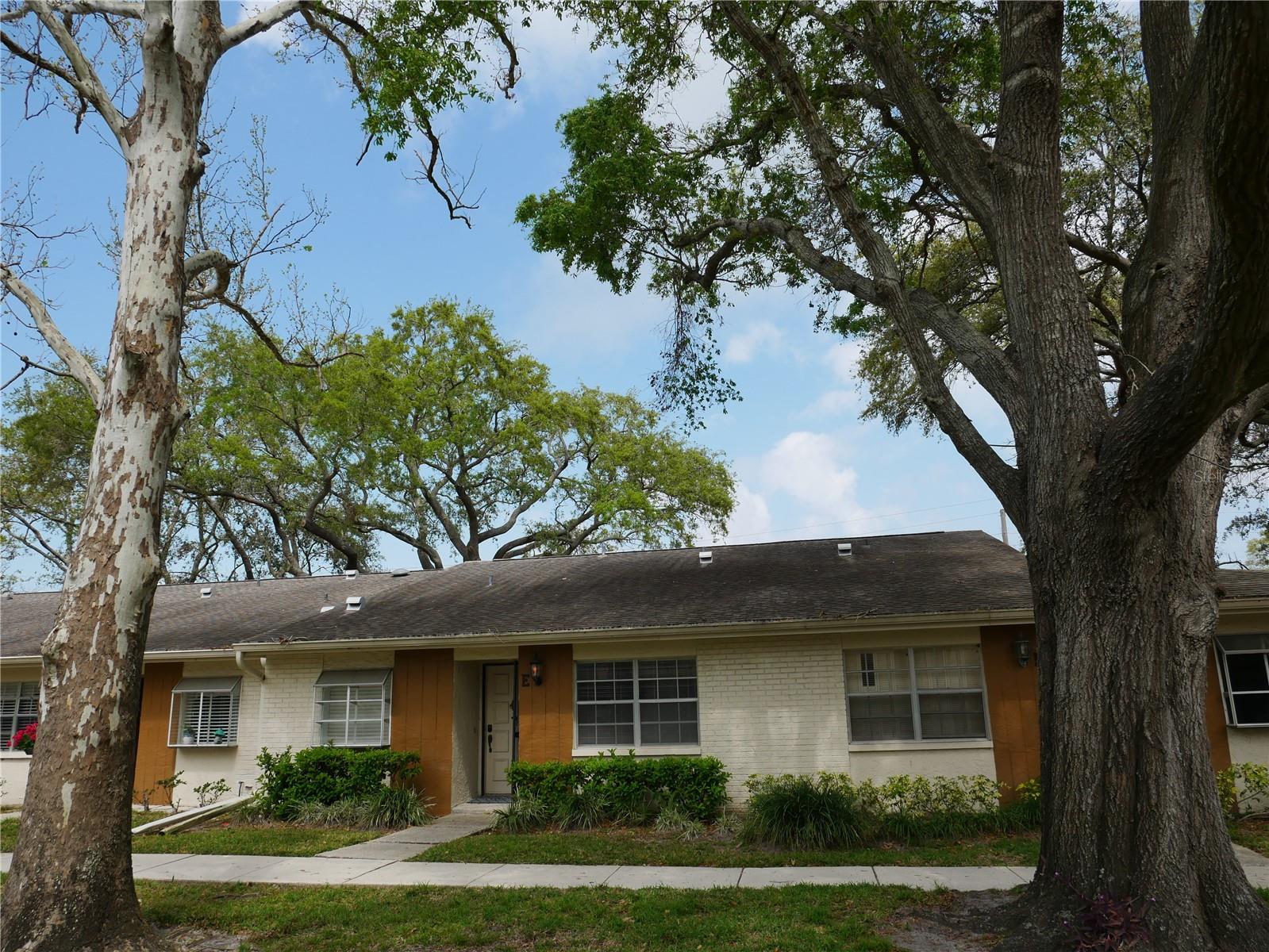 2297 LARK CIR E #E, PALM HARBOR, FL, 34684