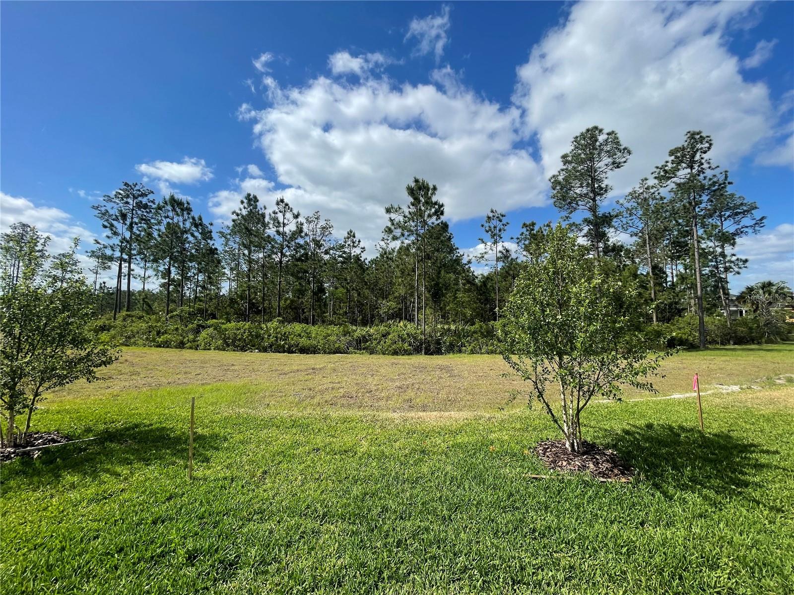 219 MONTGOMERY CT, PALM COAST, FL, 32164