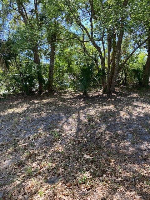 121 N MCDONALD AVE, DELAND, FL, 32724