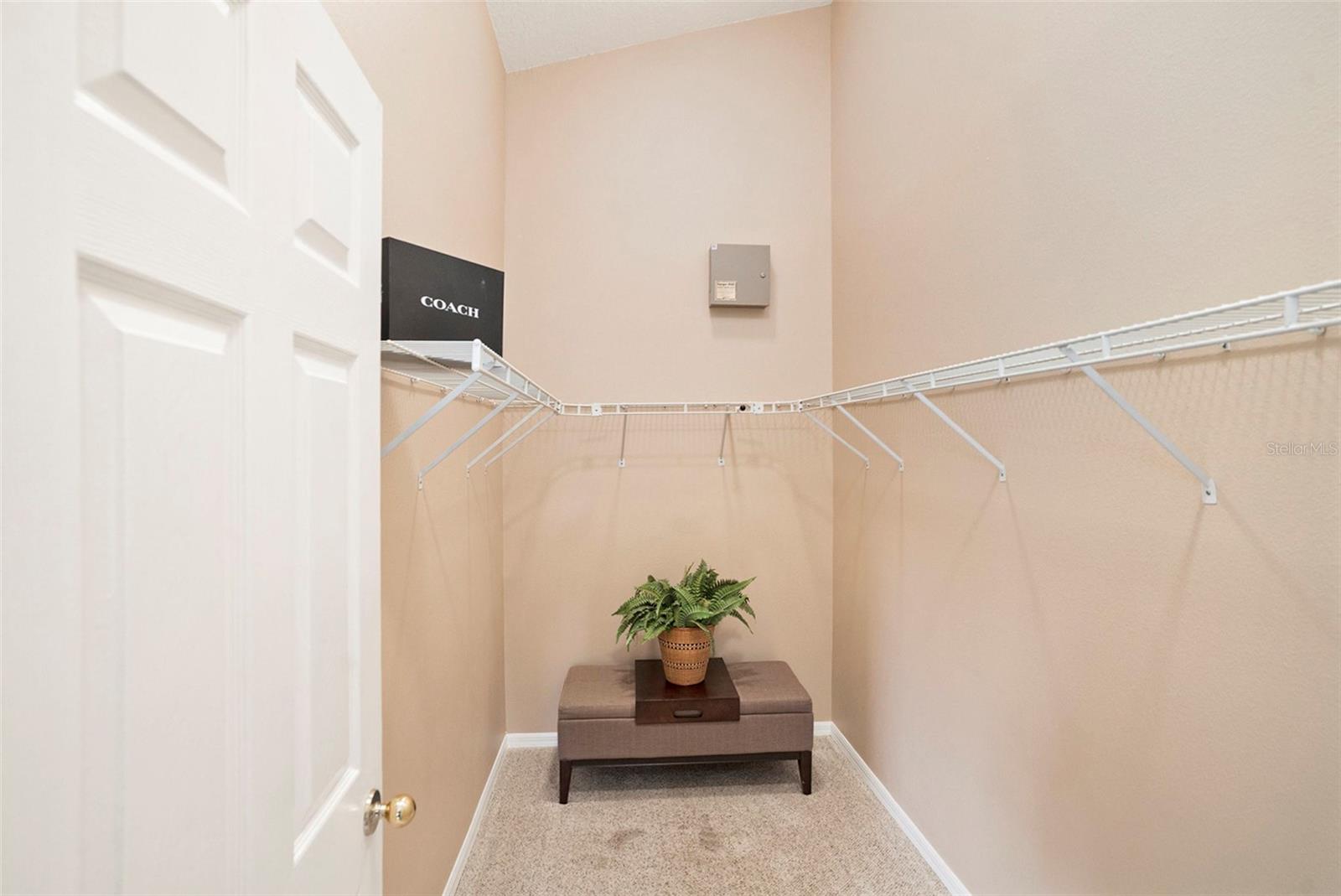 Primary Walk-In Closet