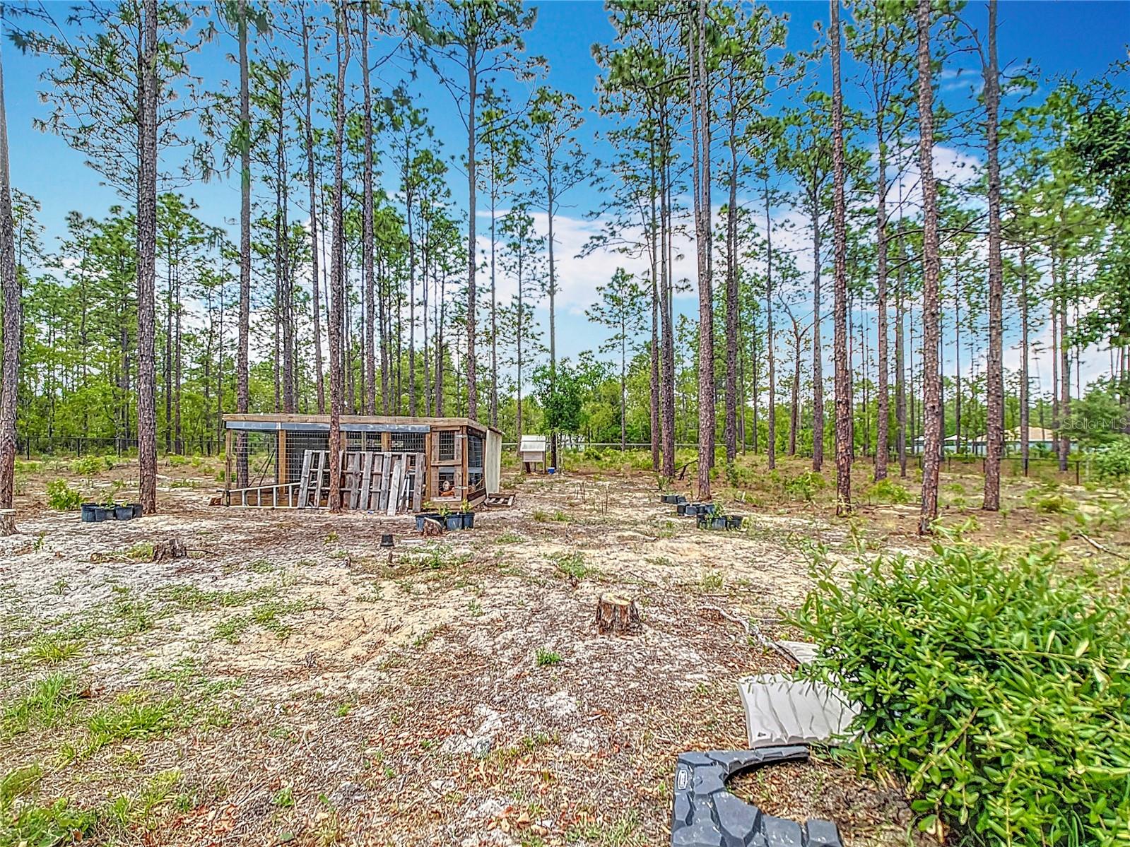 13297 SW 69TH PL, OCALA, FL, 34481