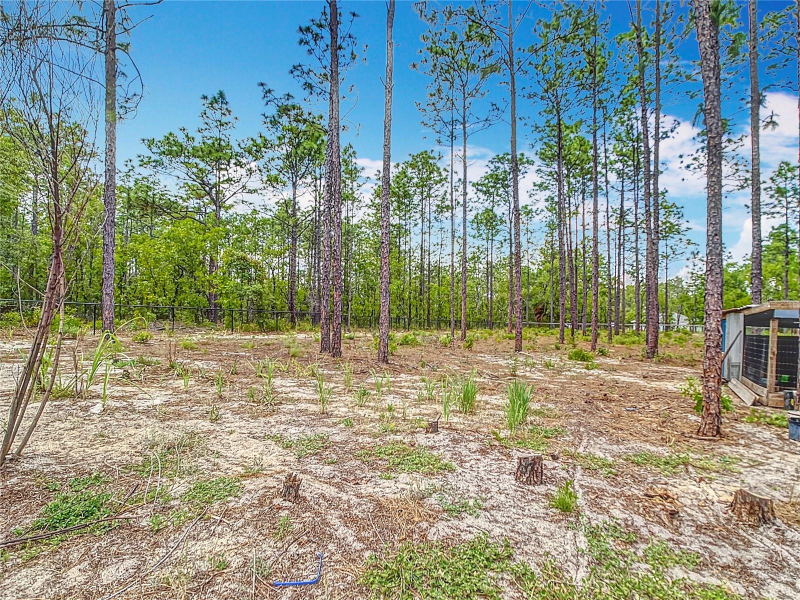 13297 SW 69TH PL, OCALA, FL, 34481