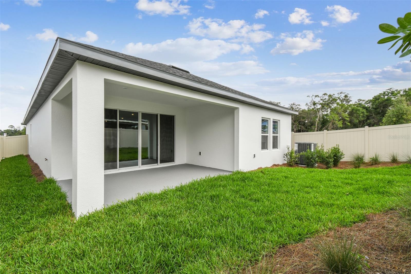 5914 BRISTLE OAK ST, MOUNT DORA, FL, 32757