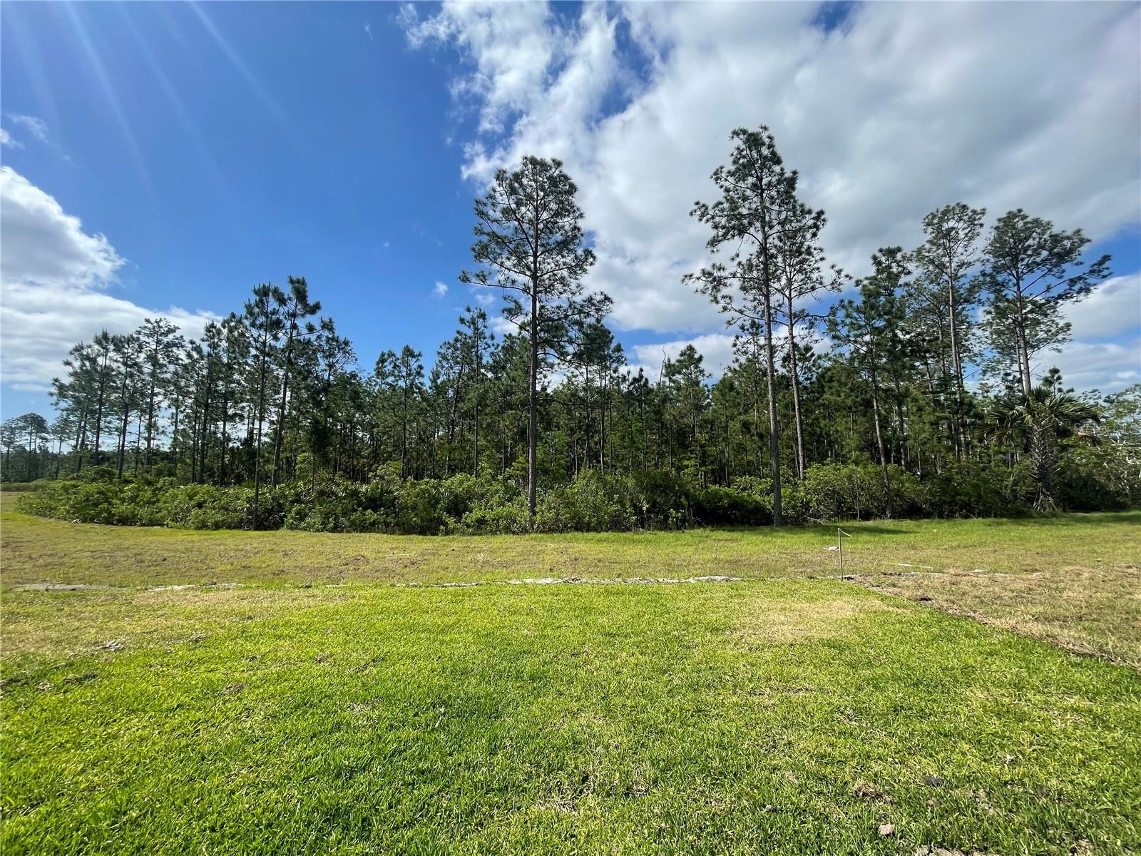 223 MONTGOMERY CT, PALM COAST, FL, 32164