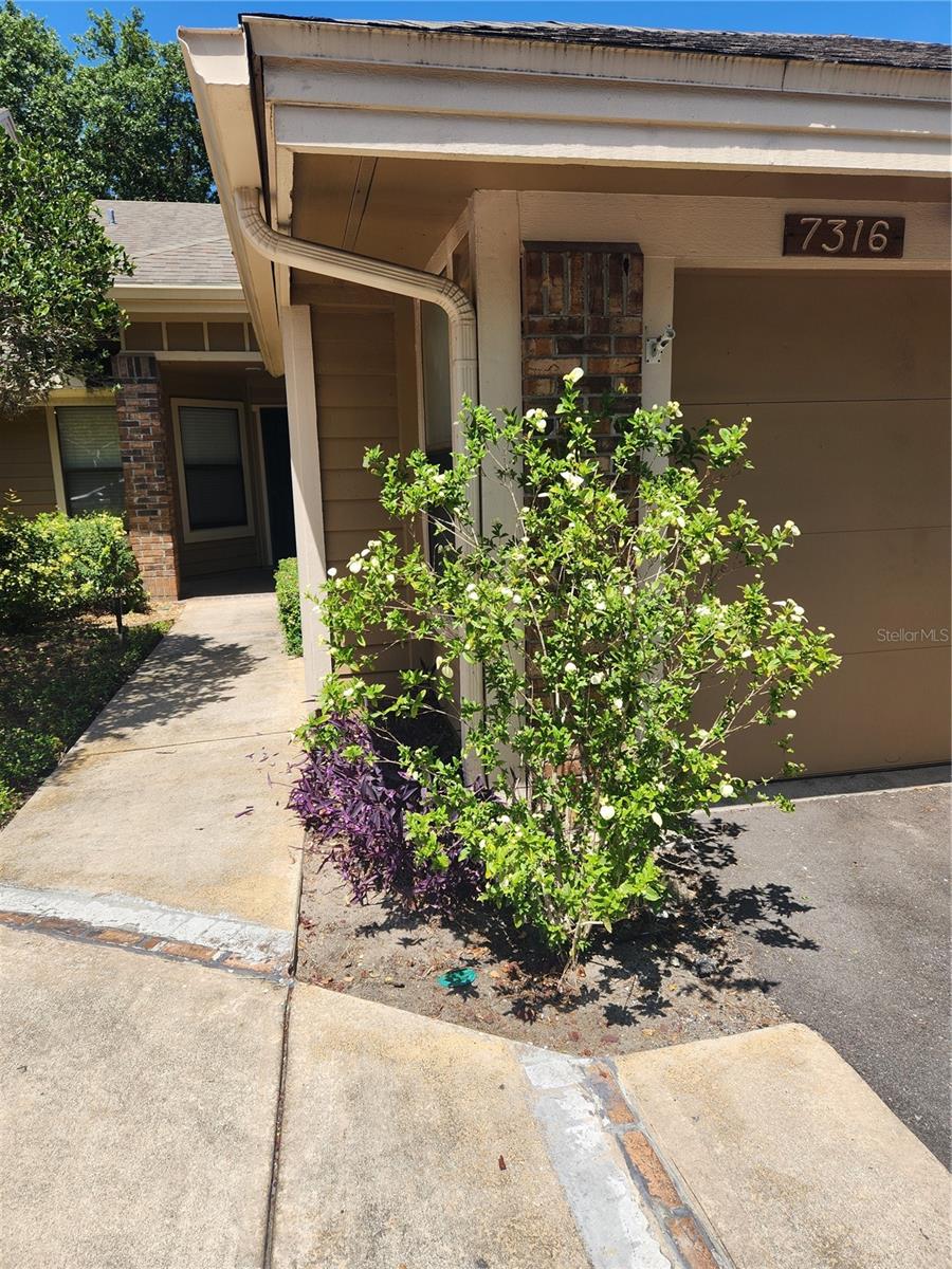 7316 DELLA DR, ORLANDO, FL, 32819
