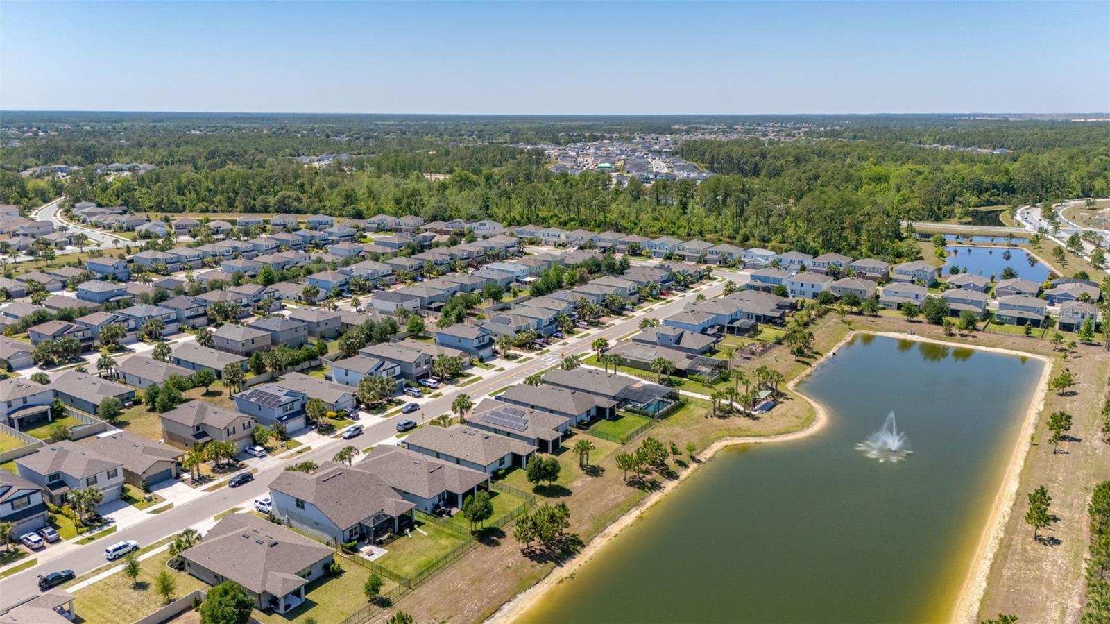 17324 BRACKEN FERN LN, CLERMONT, FL, 34714