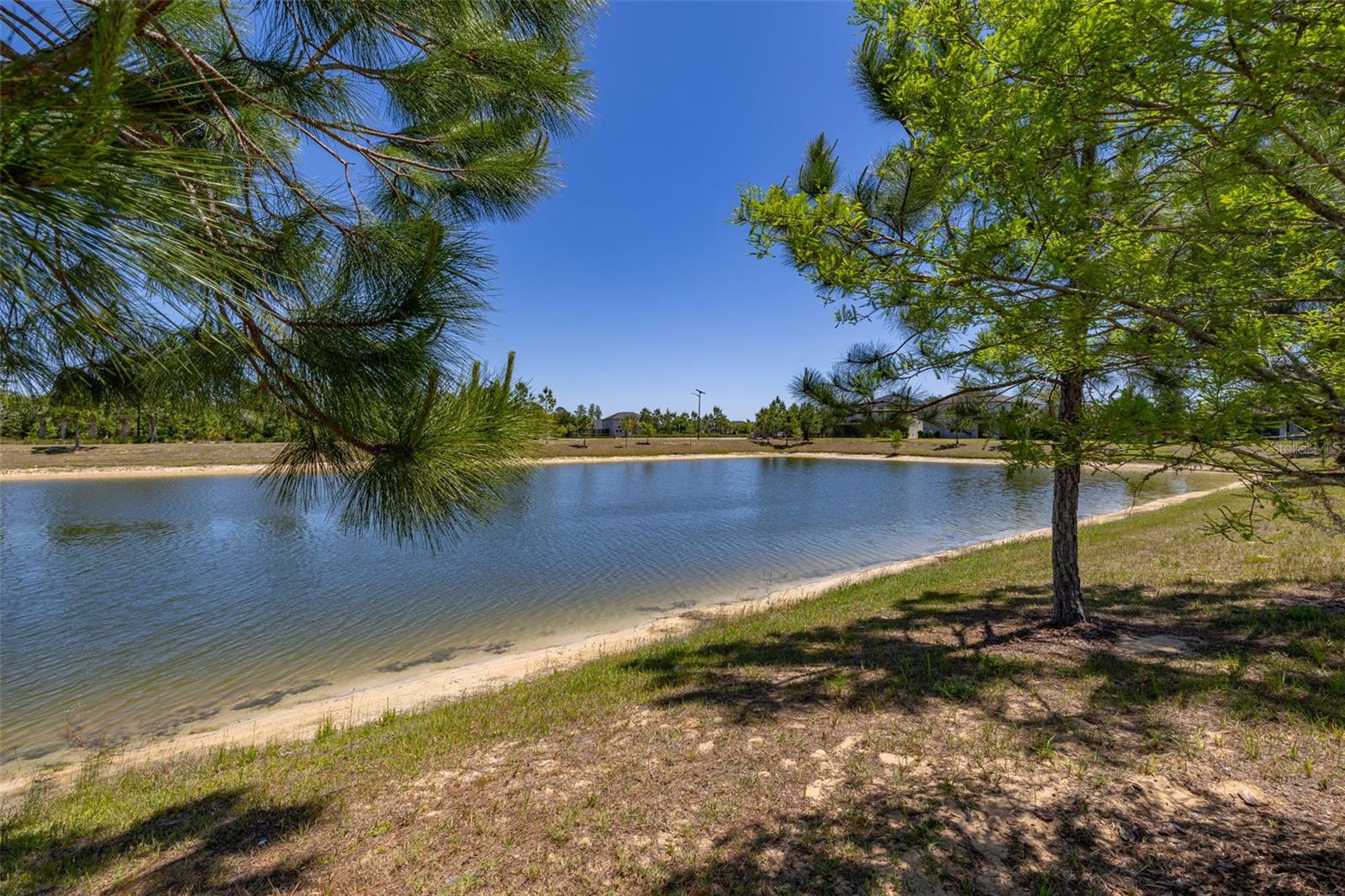 17324 BRACKEN FERN LN, CLERMONT, FL, 34714