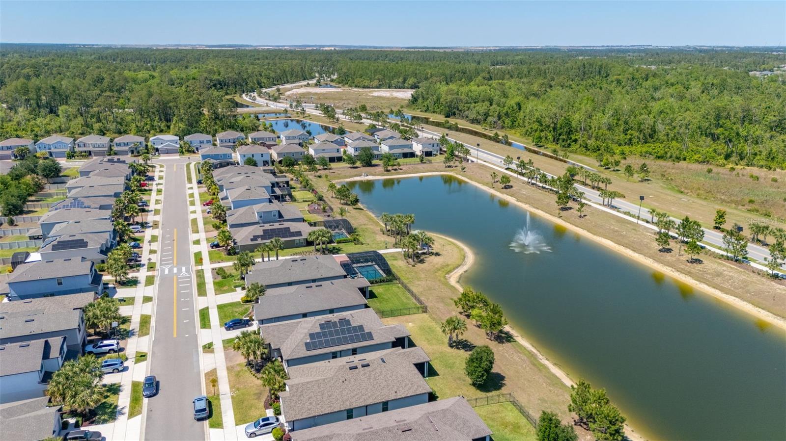 17324 BRACKEN FERN LN, CLERMONT, FL, 34714