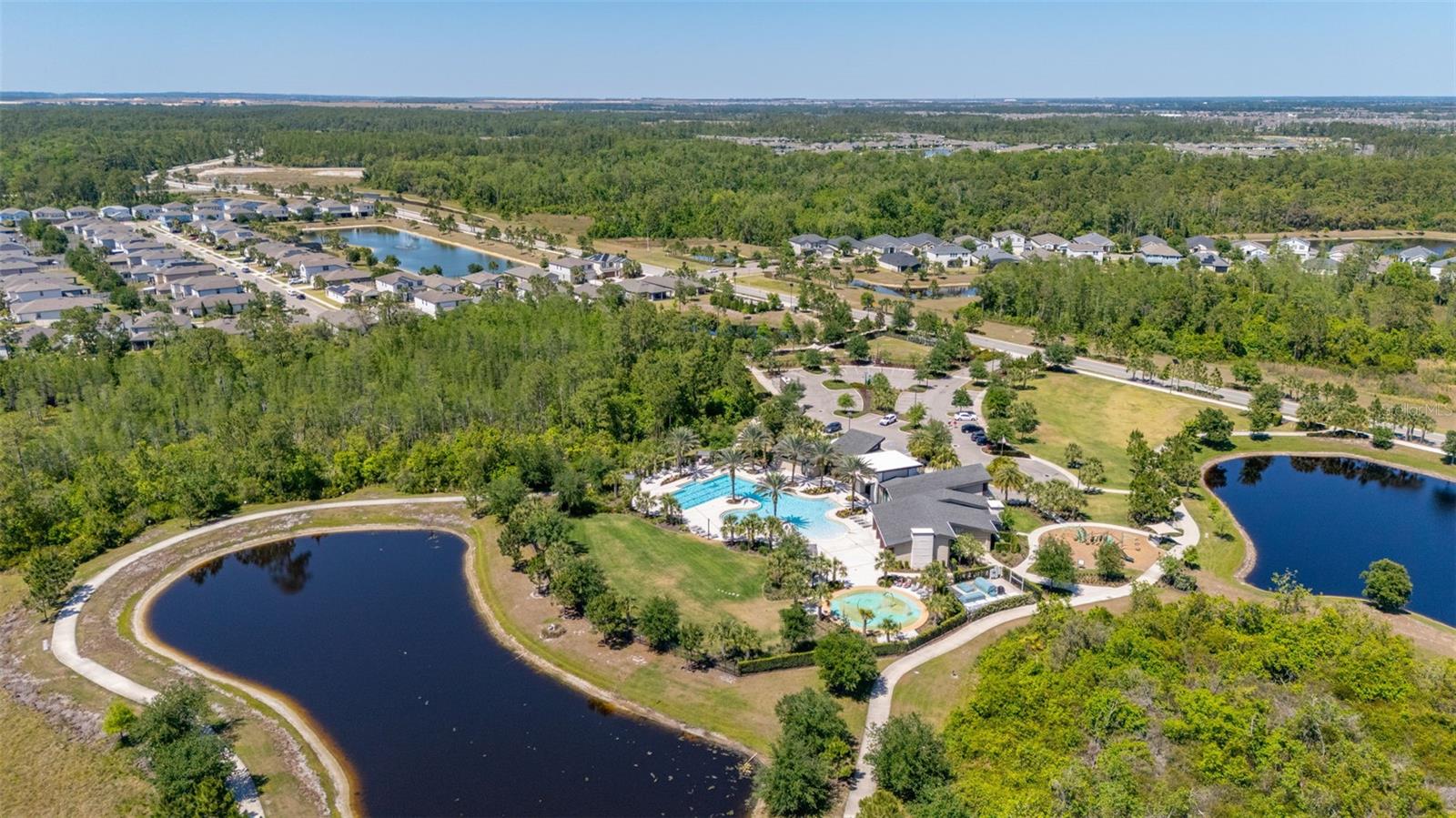 17324 BRACKEN FERN LN, CLERMONT, FL, 34714