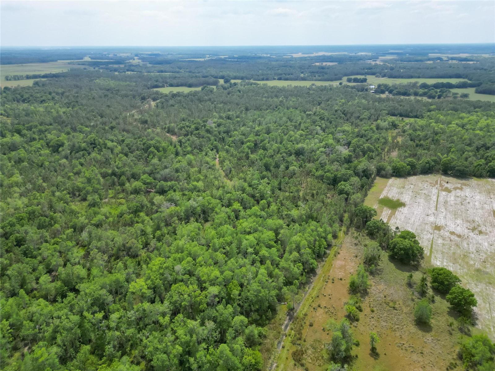 VAN FLEET RD, POLK CITY, FL, 33868