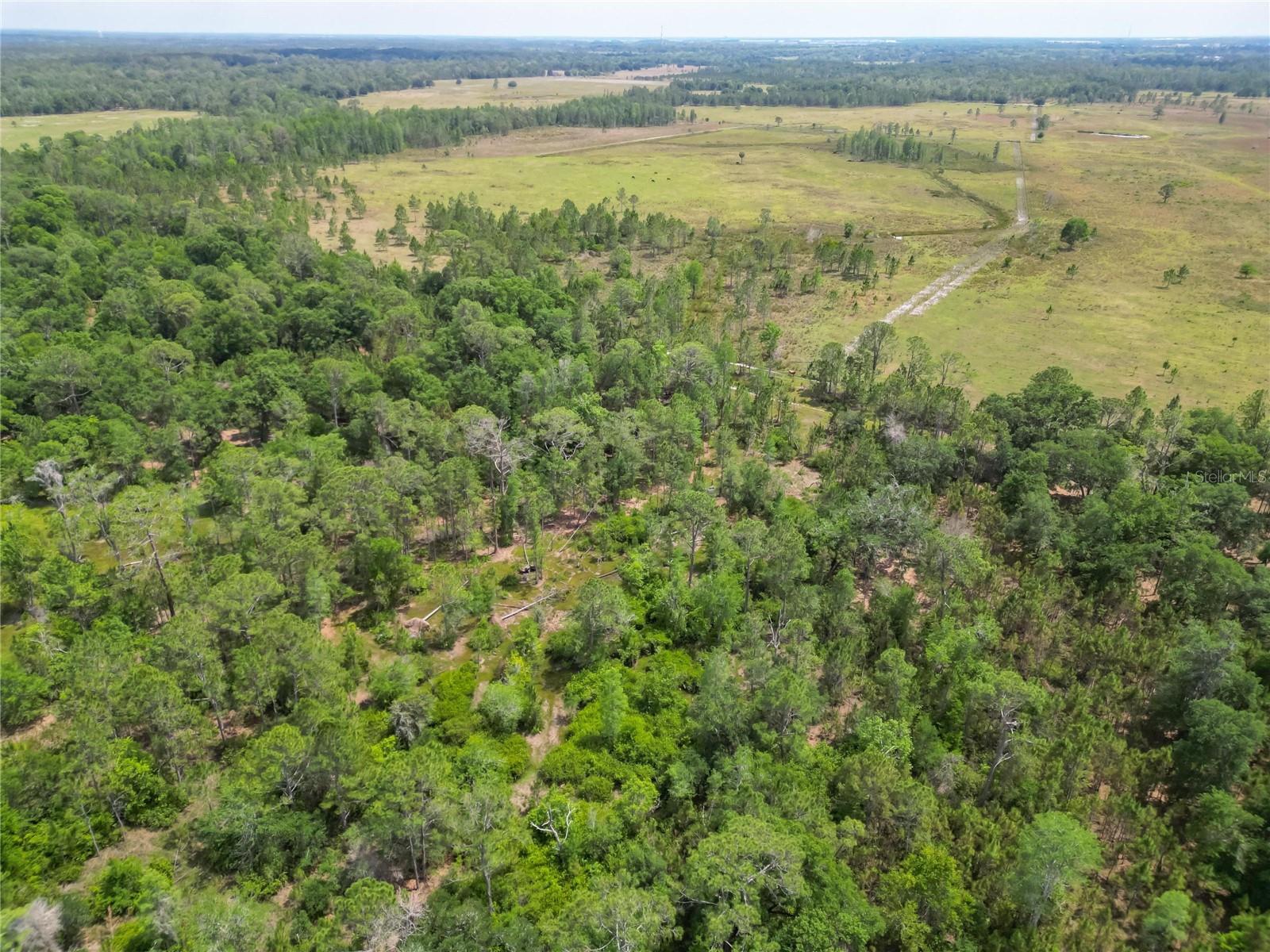 VAN FLEET RD, POLK CITY, FL, 33868